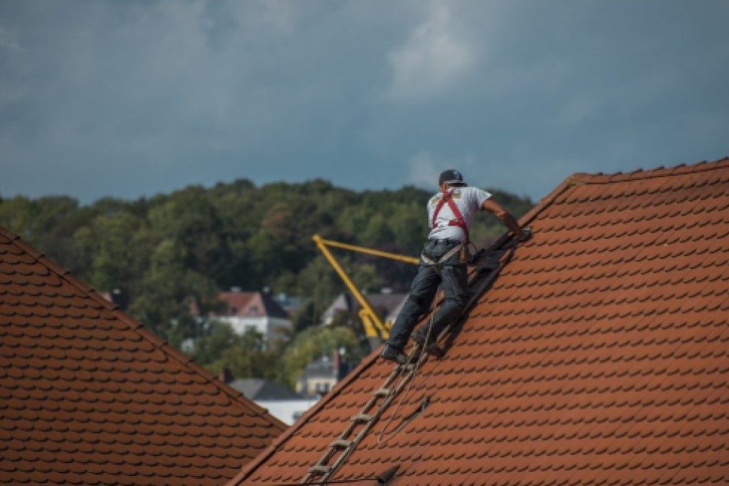 This is the image description